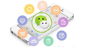 网营中国 微信运营纯干货——网络文化经营视角下的7大格式架构技巧