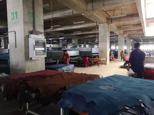 皮料网实地探访孟加拉皮革产业，深挖‘一带一路’新商机，赋能网络文化经营新生态